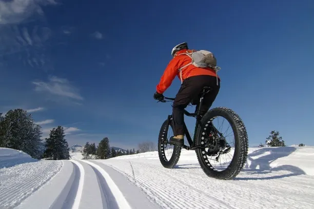 What is a Fat Bike?