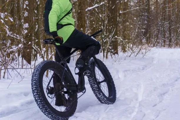 What is a Fat Bike?