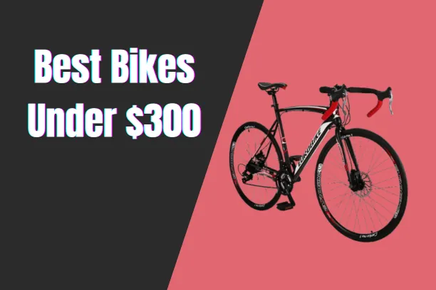 Best Bikes Under $300